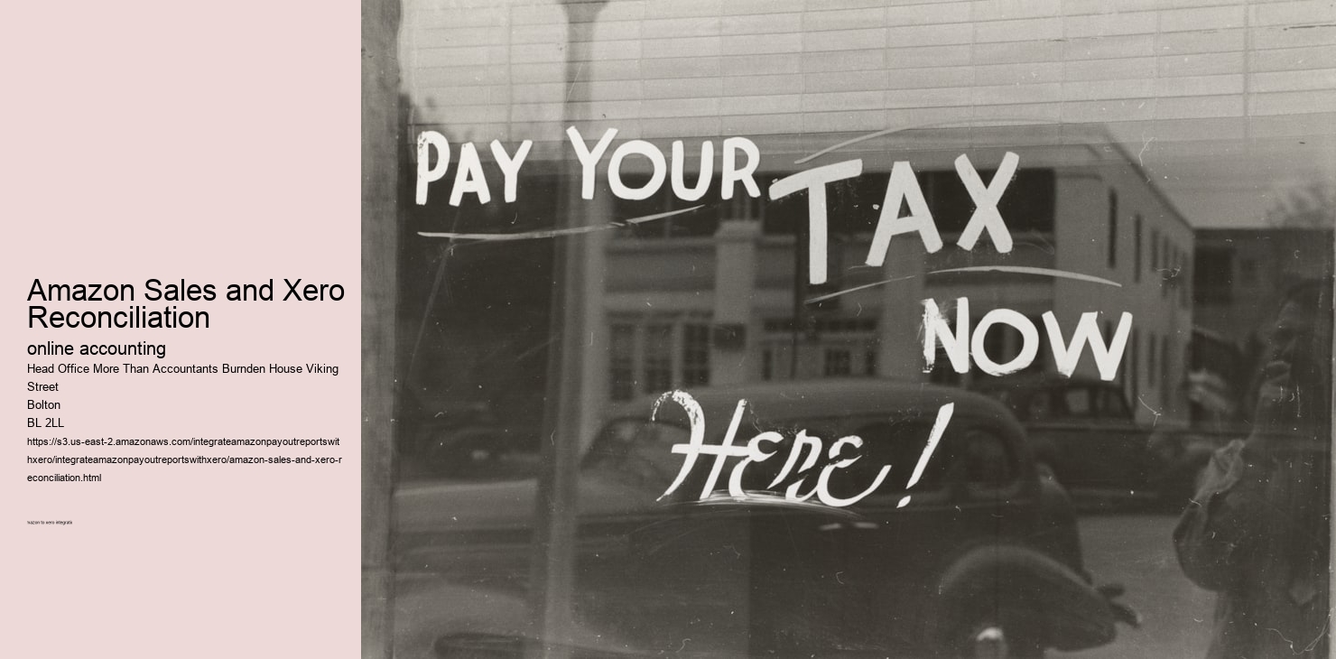 Amazon Sales and Xero Reconciliation