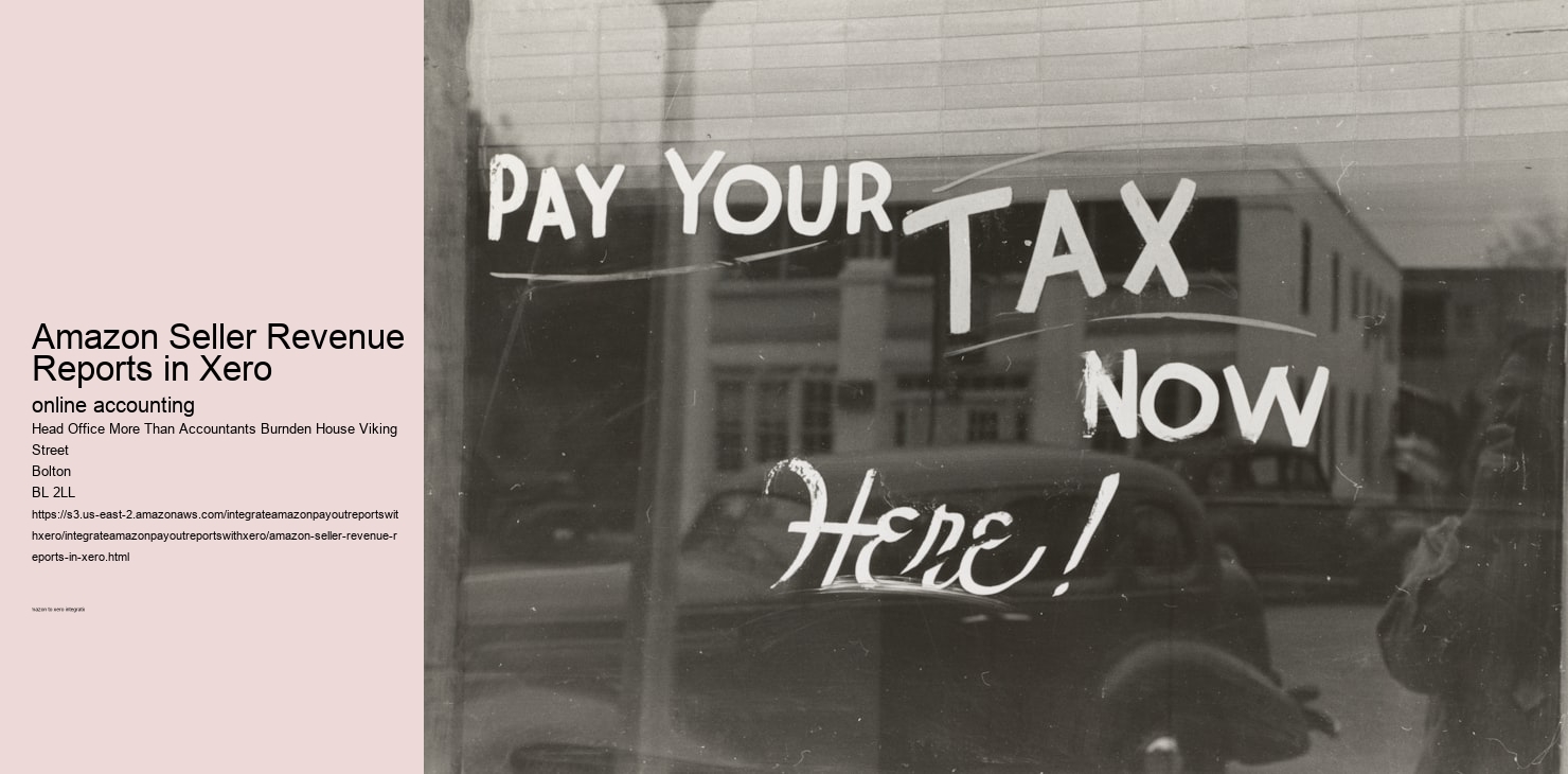 Amazon Seller Revenue Reports in Xero