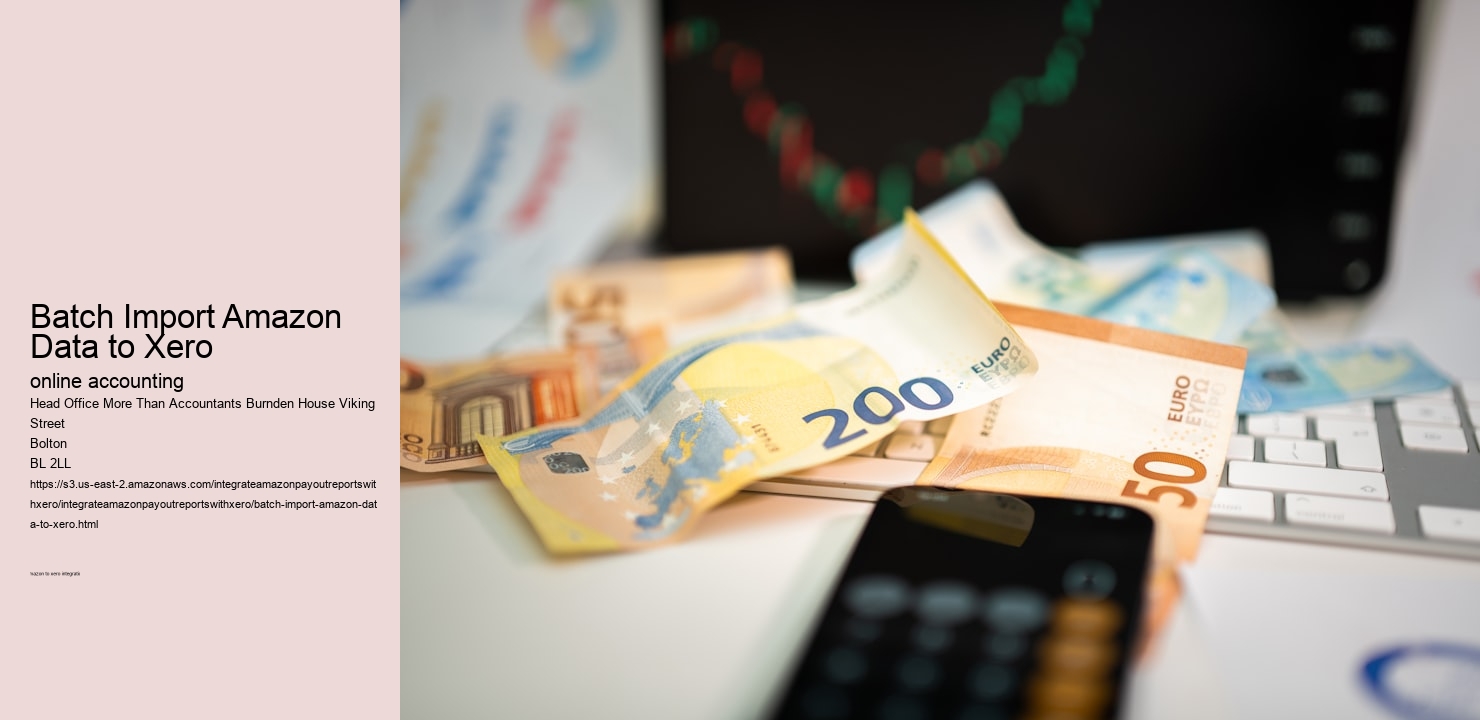 Batch Import Amazon Data to Xero