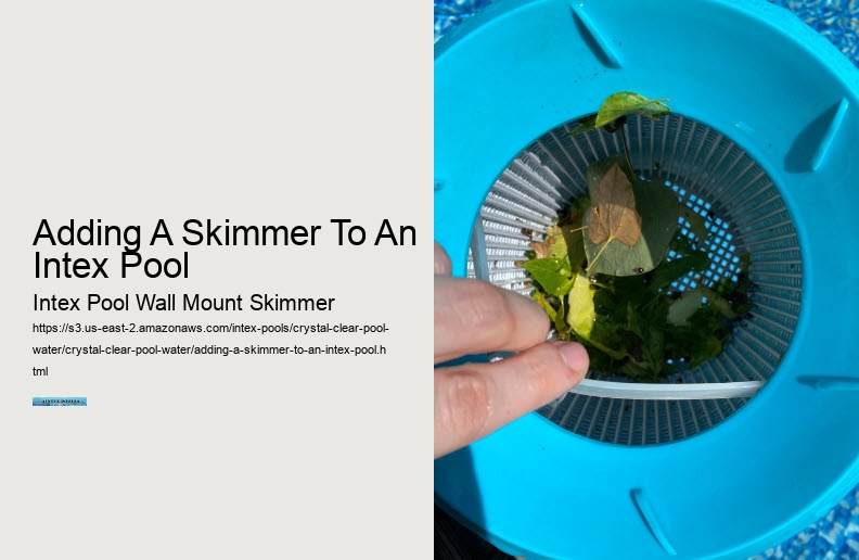 Adding A Skimmer To An Intex Pool