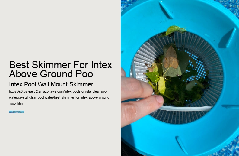 Best Skimmer For Intex Above Ground Pool