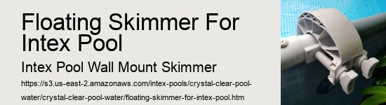 Floating Skimmer For Intex Pool
