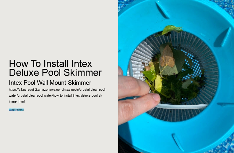 How To Install Intex Deluxe Pool Skimmer