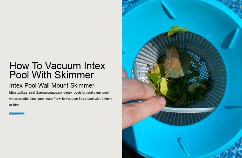 How To Vacuum Intex Pool With Skimmer