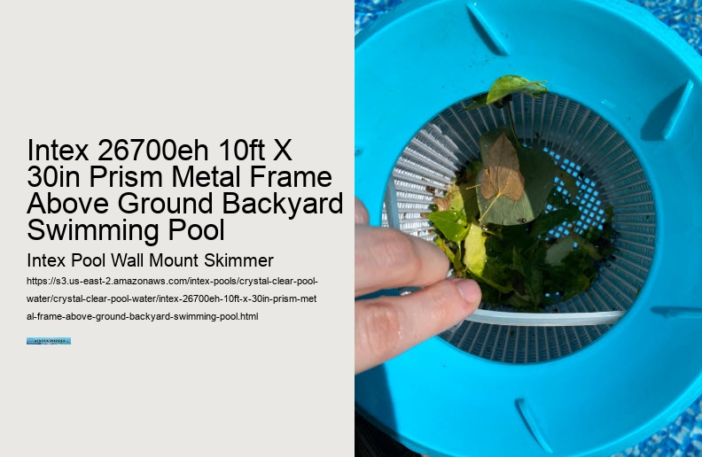 Intex 26700eh 10ft X 30in Prism Metal Frame Above Ground Backyard Swimming Pool