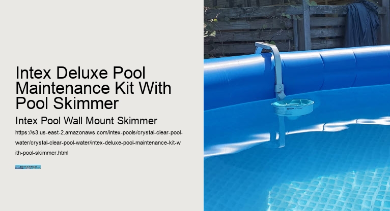 Intex Deluxe Pool Maintenance Kit With Pool Skimmer