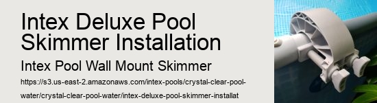Intex Deluxe Pool Skimmer Installation