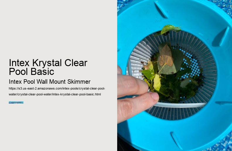 Intex Krystal Clear Pool Basic