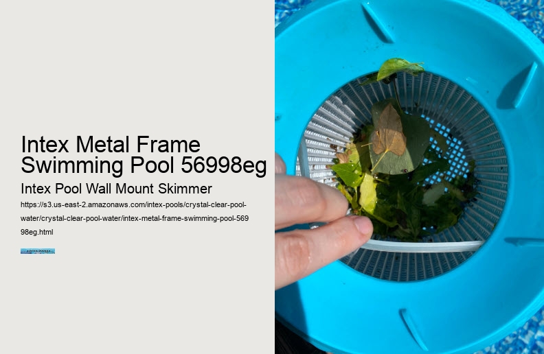 Intex Metal Frame Swimming Pool 56998eg