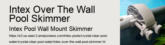 Intex Over The Wall Pool Skimmer