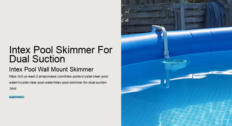 Intex Pool Skimmer For Dual Suction