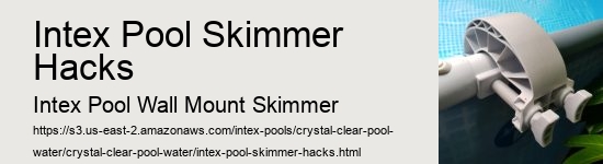 Intex Pool Skimmer Hacks