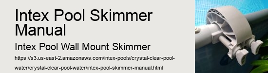 Intex Pool Skimmer Manual