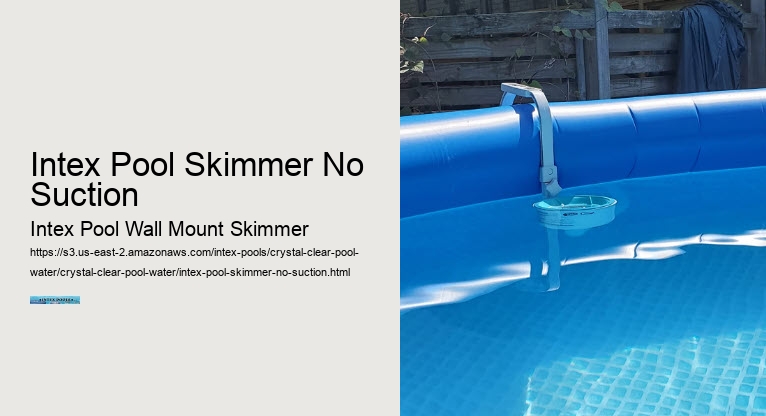 Intex Pool Skimmer No Suction