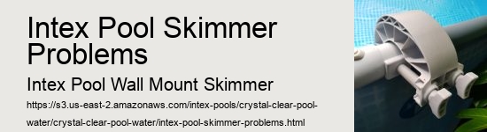 Intex Pool Skimmer Problems