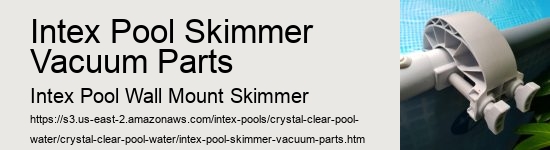 Intex Pool Skimmer Vacuum Parts