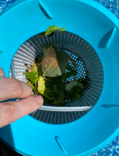 Intex Skimmer Basket Holder