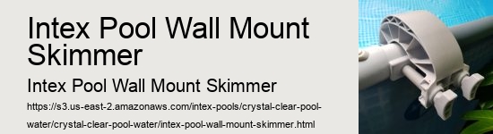 Intex Pool Wall Mount Skimmer