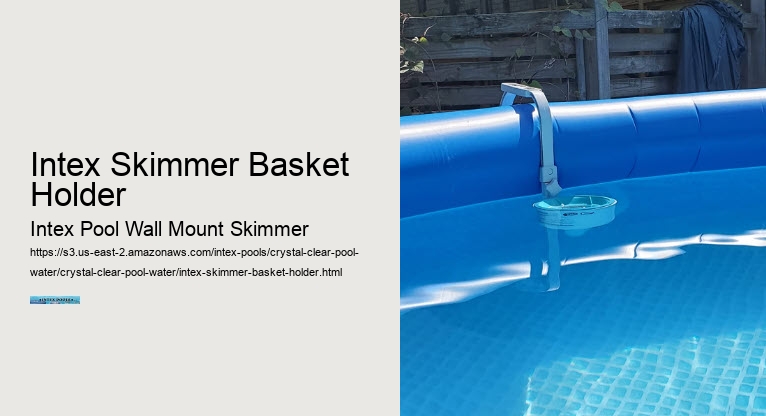 Intex Skimmer Basket Holder