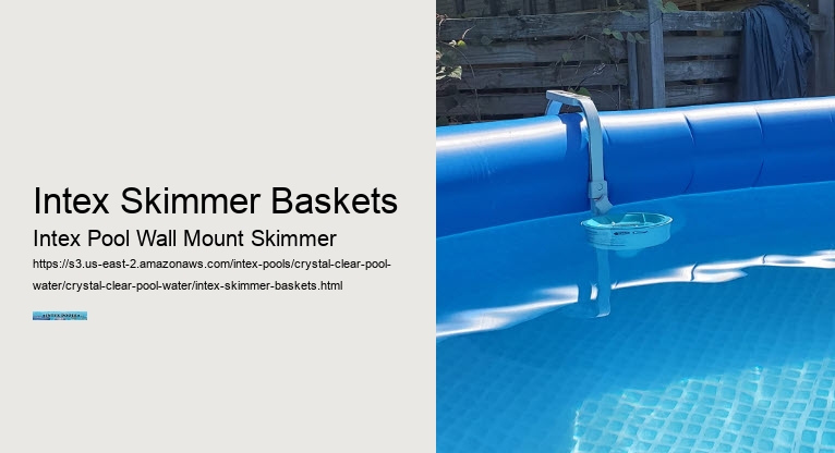 Intex Skimmer Baskets
