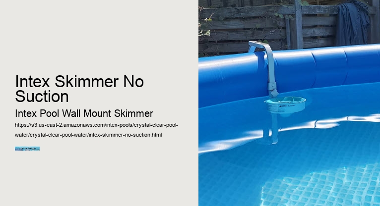 Intex Skimmer No Suction