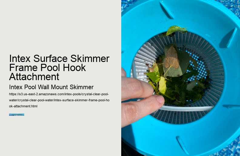 Intex Surface Skimmer Frame Pool Hook Attachment