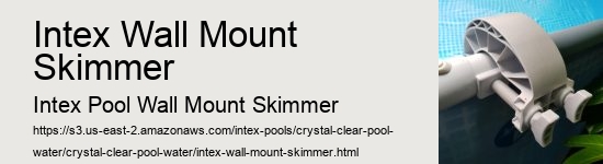 Intex Wall Mount Skimmer