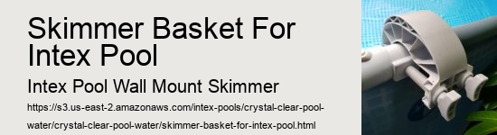 Skimmer Basket For Intex Pool