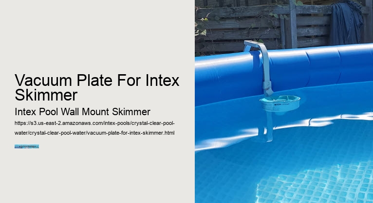 Vacuum Plate For Intex Skimmer