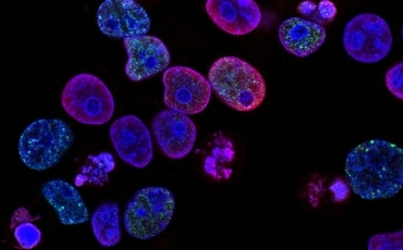New medfuse confrnz images 1