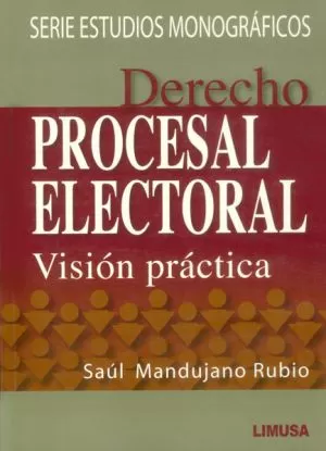 Carátula de Derecho procesal electoral. Visión práctica.