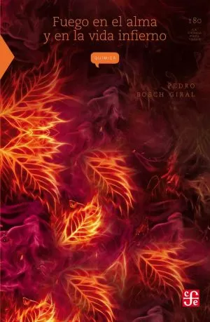 Carátula de Fuego en el alma y en la vida infierno
