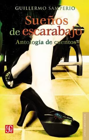 Carátula de Sueños de escarabajo