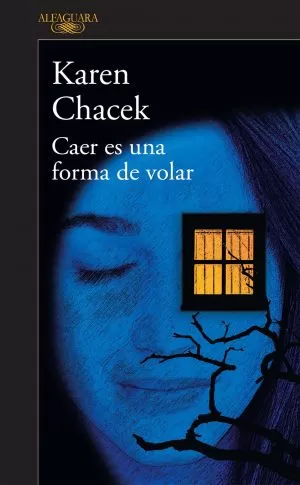 Carátula de Caer es una forma de volar