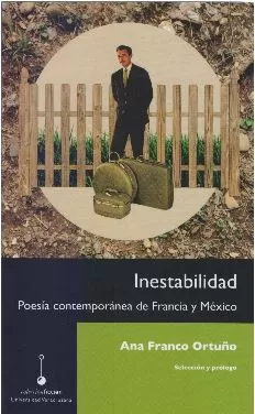 Carátula de Inestabilidad