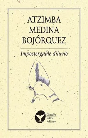 Carátula de Impostergable diluvio