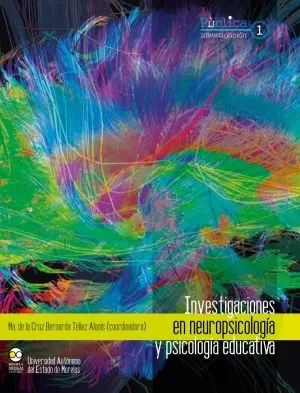 Carátula de Investigaciones en neuropsicología y psicología educativa
