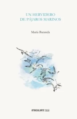 Carátula de Un hervidero de pájaros marinos