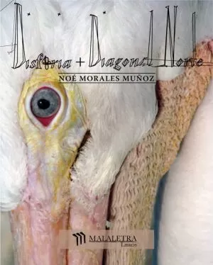 Carátula de Disforia + Diagonal Norte