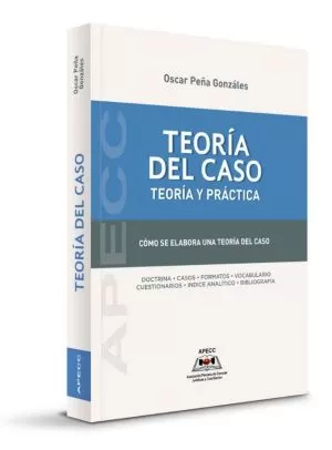 Carátula de Teoría del caso