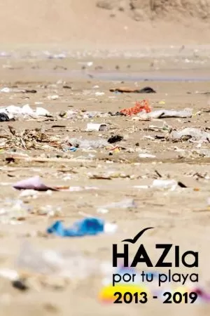 Carátula de Hazla por tu playa, 2013-2019