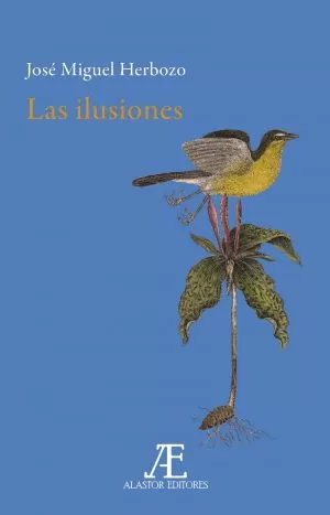 Carátula de Las ilusiones