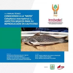 Carátula de Conociendo a la Mota Calophysus macropterus L.; aspectos básicos para su reproducción en cautiverio
