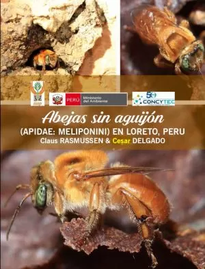 Carátula de Abejas sin aguijón (Apidae-Meliponini) en Loreto Perú