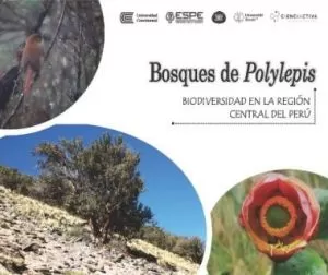 Carátula de Bosques de Polylepis