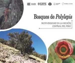 Carátula de Bosques de Polylepis