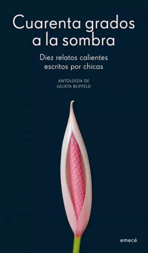 Carátula de Cuarenta grados a la sombra
