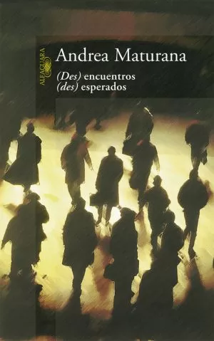 Carátula de Des encuentros Des esperados