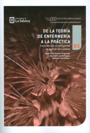 Carátula de De la teoría de enfermería a la práctica