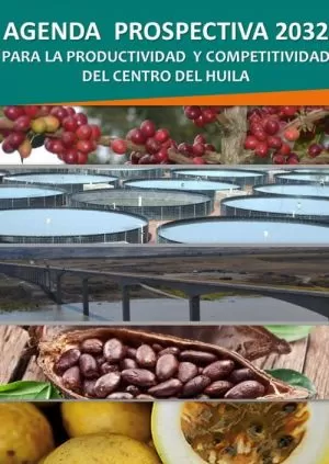 Carátula de Agenda Prospectiva 2032 Para la Productividad y Competitividad del Centro del Huila